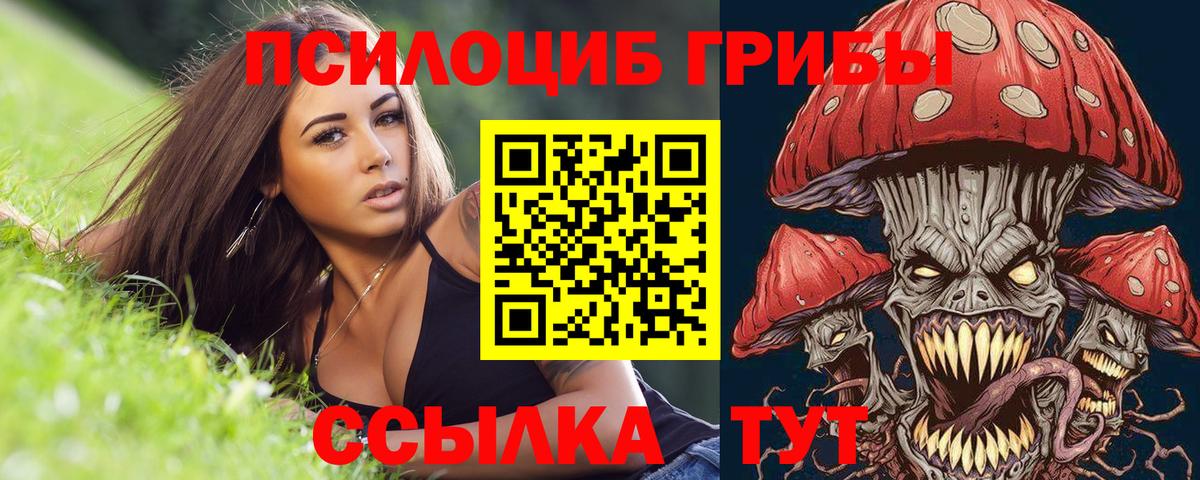 Ачинск  Галлюциногенные грибы прущие грибы  Вход с VPN  Псилоцибиновые грибы Psilocybine cubensis 